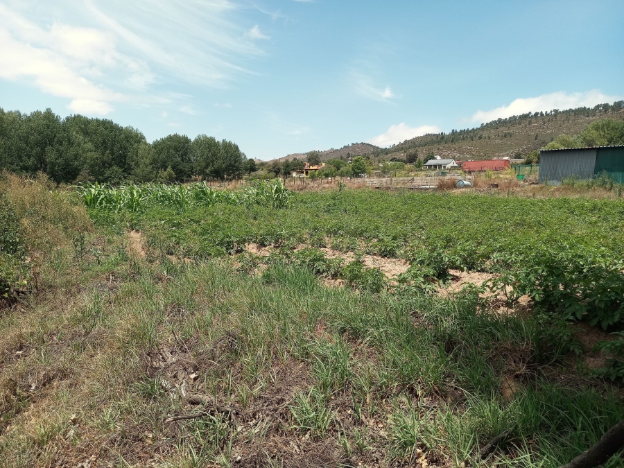 Commercial Property for Sale in Haarlem Western Cape